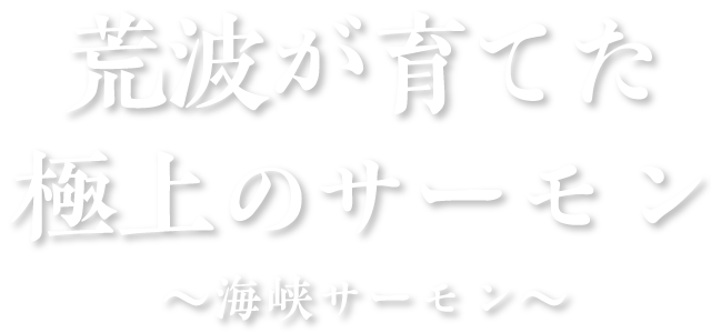 荒波が育てる極上のサーモン